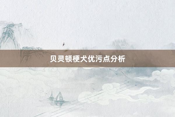 贝灵顿梗犬优污点分析
